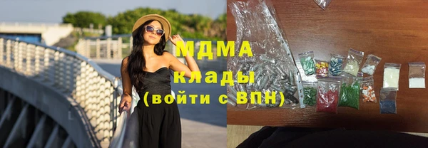 дмт Бородино