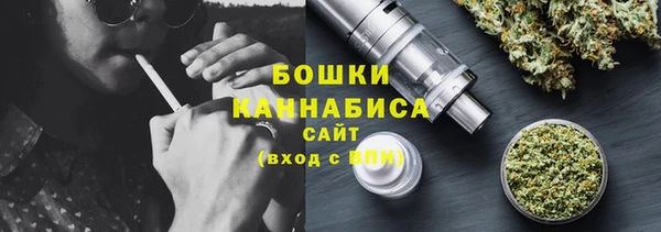 дмт Бородино