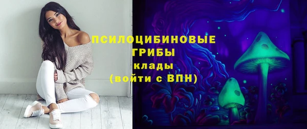 ПСИЛОЦИБИНОВЫЕ ГРИБЫ Бронницы