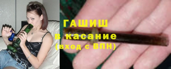 дмт Бородино