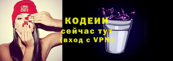 дмт Бородино
