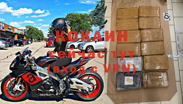 дмт Бородино