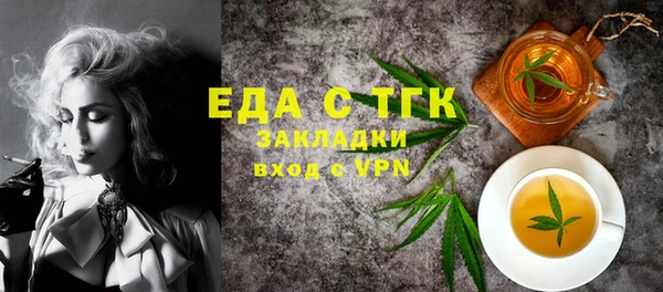 дмт Бородино