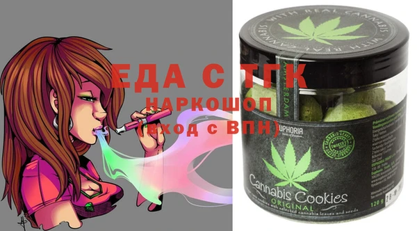 дмт Бородино