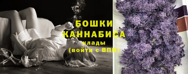 дмт Бородино