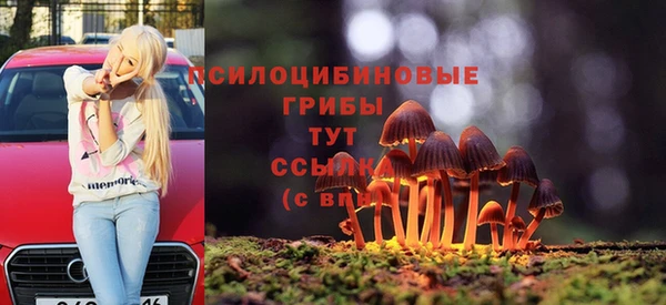 дмт Бородино