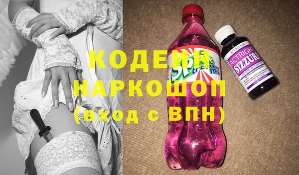 дмт Бородино