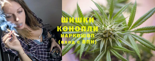 дмт Бородино