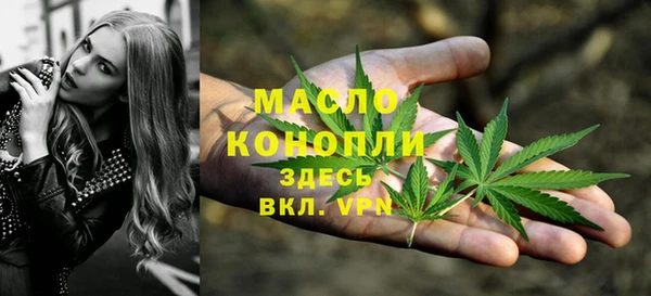 дмт Бородино
