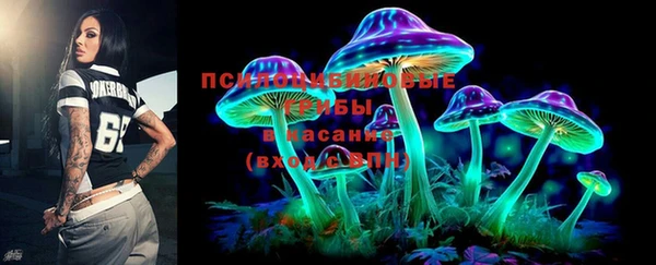 ПСИЛОЦИБИНОВЫЕ ГРИБЫ Бронницы