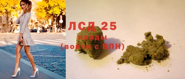 ПСИЛОЦИБИНОВЫЕ ГРИБЫ Бронницы
