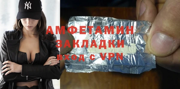 дмт Бородино