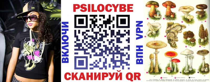 Псилоцибиновые грибы GOLDEN TEACHER  Купить  Каргат 